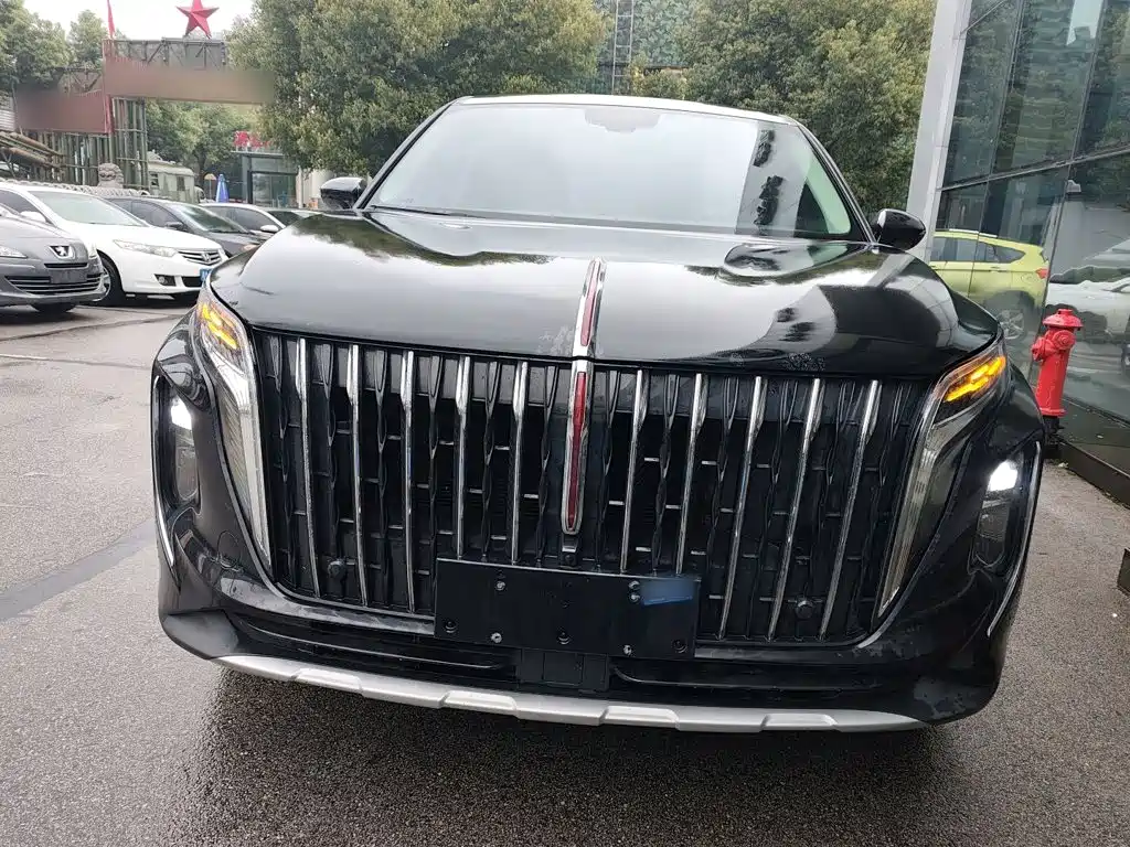 Hongqi Hongqi HS7 — фото 3