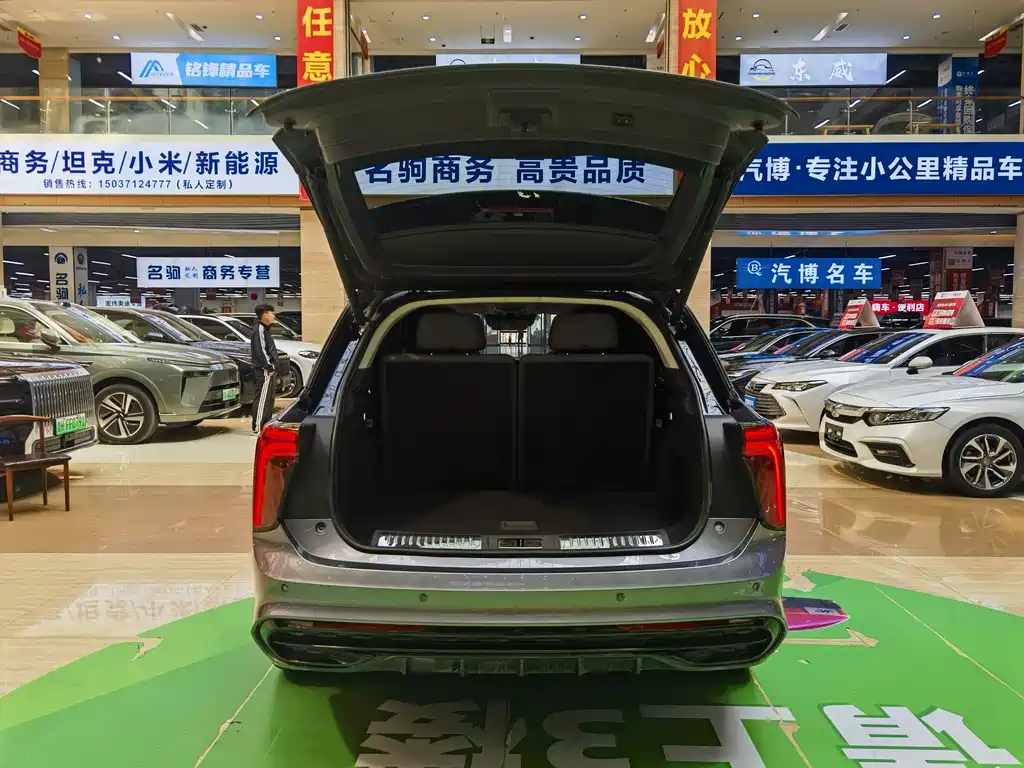Hongqi Hongqi E-HS9 — фото 10