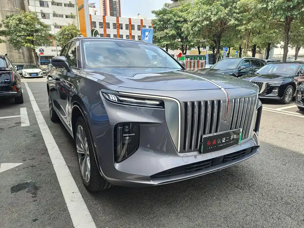 Hongqi Hongqi E-HS9 — фото 3