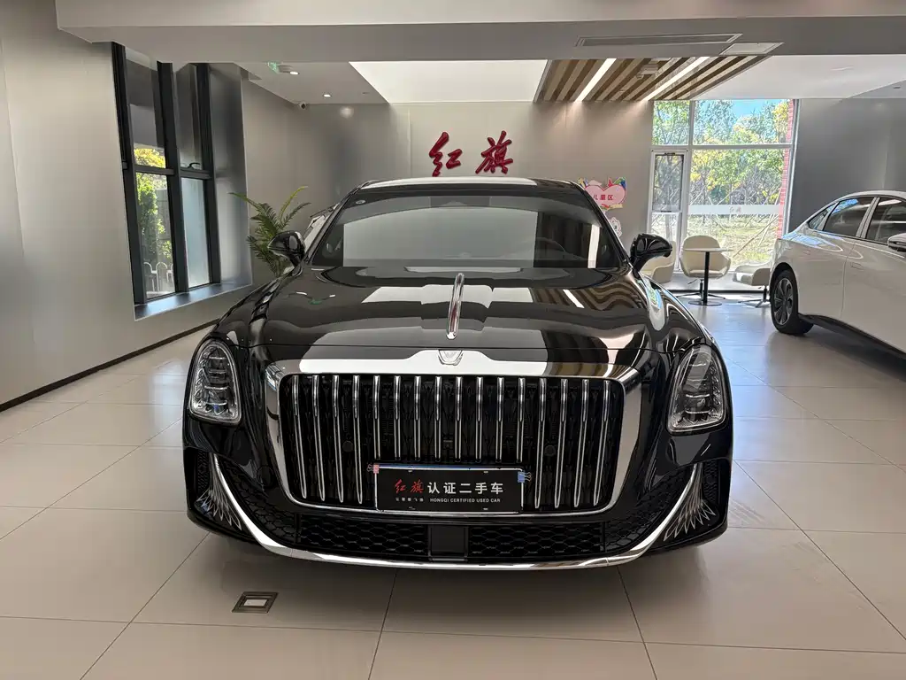 Hongqi Hongqi Golden Sunflower Guoya — фото 2