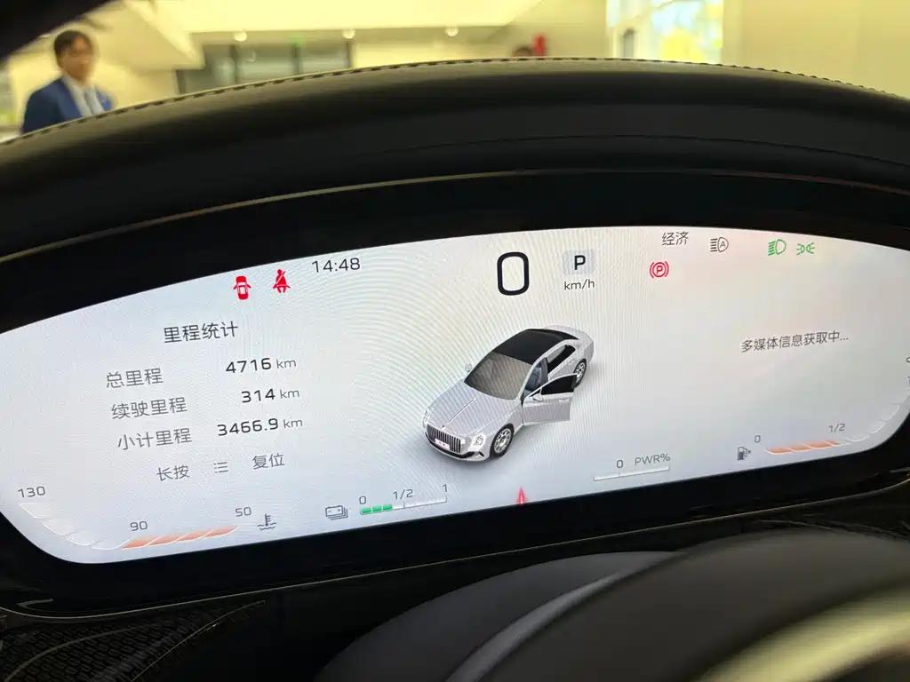 Hongqi Hongqi Golden Sunflower Guoya — фото 10