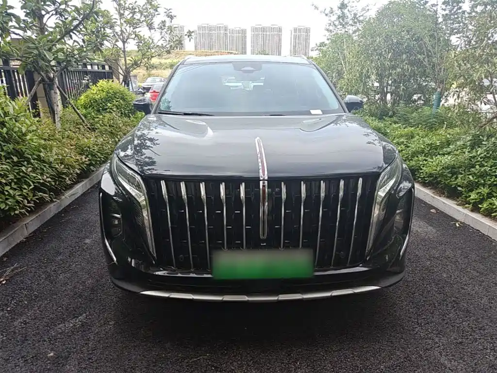 Hongqi Hongqi HS7 PHEV — фото 3