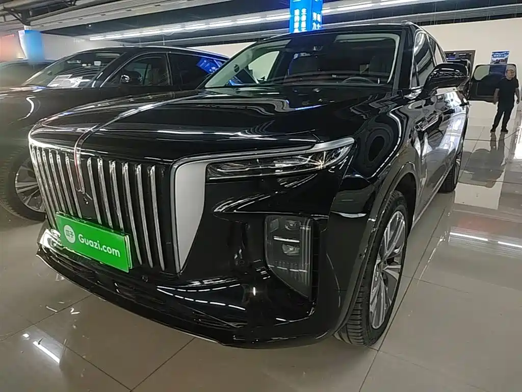 Hongqi Hongqi E-HS9 — фото 2
