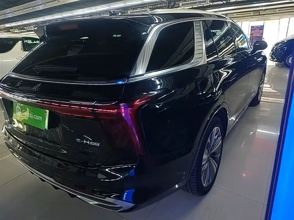 Hongqi Hongqi E-HS9 — фото 7