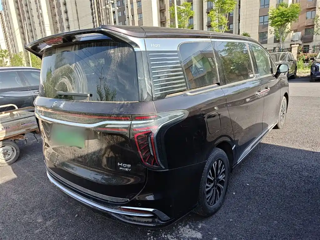 Hongqi Hongqi HQ9 PHEV — фото 7