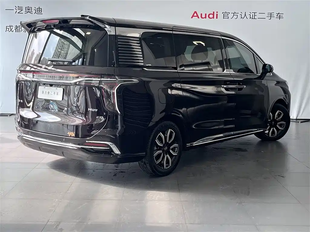 Hongqi Hongqi HQ9 — фото 4
