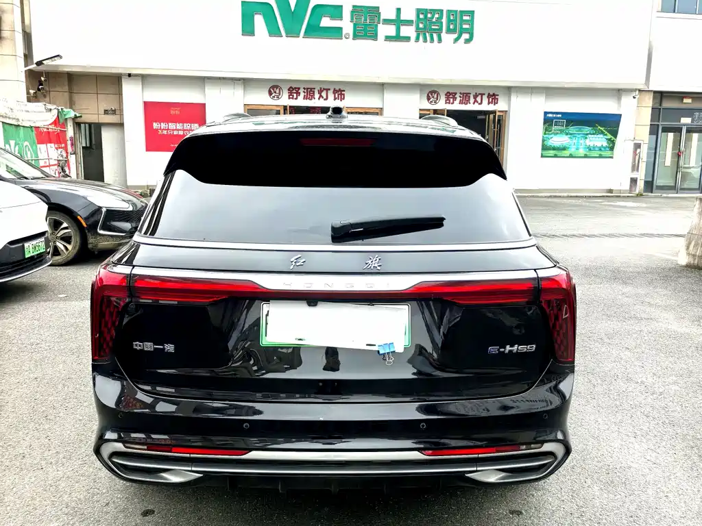 Hongqi Hongqi E-HS9 — фото 4
