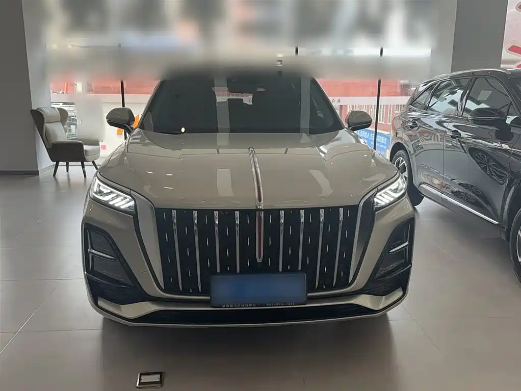 Hongqi Hongqi HS5 — фото 11