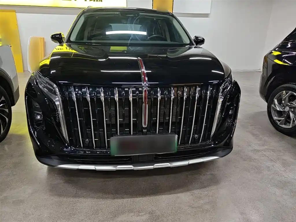 Hongqi Hongqi HS7 PHEV — фото 3