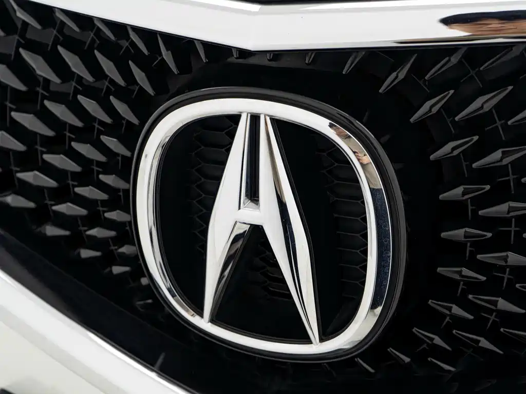 Acura CDX — фото 24