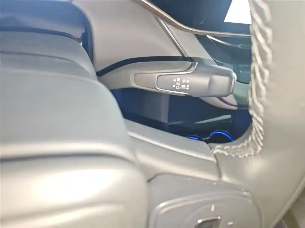 Hongqi Hongqi EH7 — фото 14
