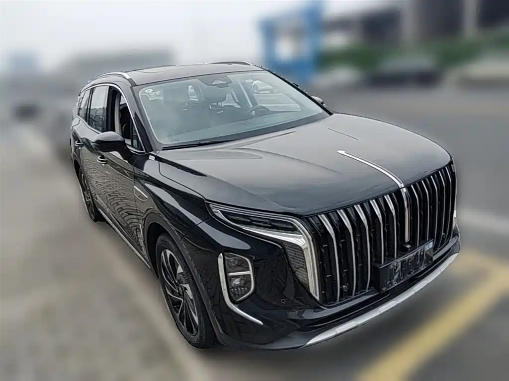 Hongqi Hongqi HS7 PHEV — фото 7