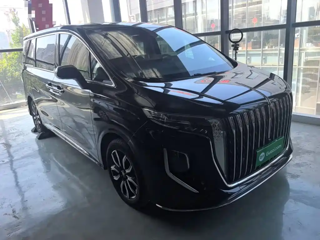 Hongqi Hongqi HQ9 — фото 23
