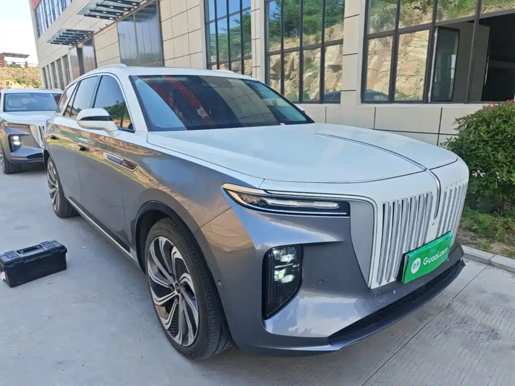 Hongqi Hongqi E-HS9 — фото 4