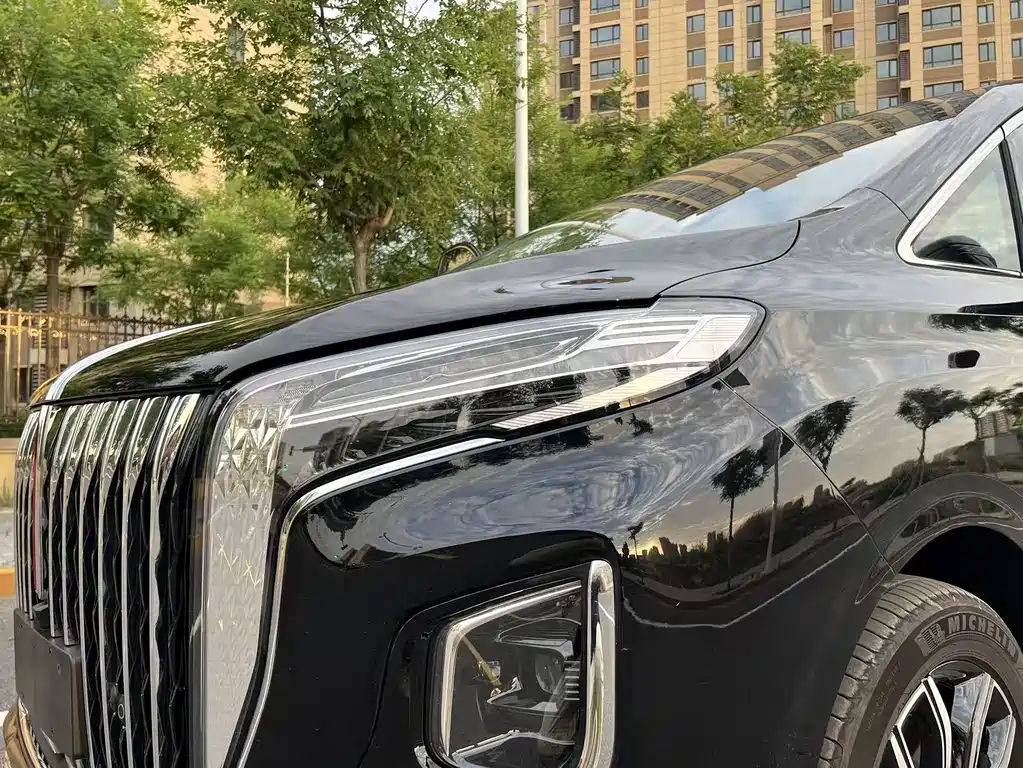 Hongqi Hongqi HQ9 PHEV — фото 2