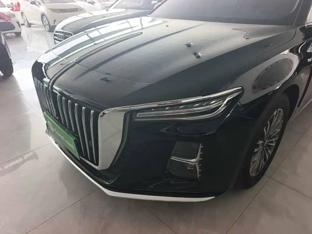 Hongqi Hongqi H5 — фото 24