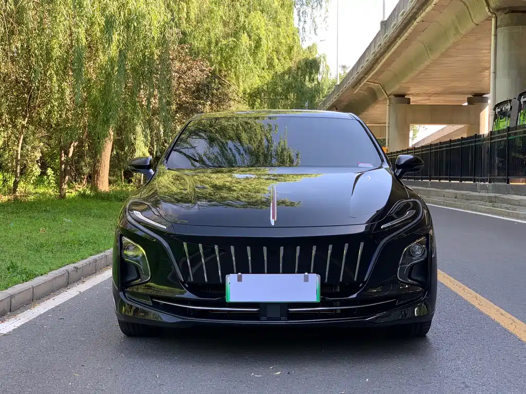 Hongqi Hongqi E-QM5 — фото 2