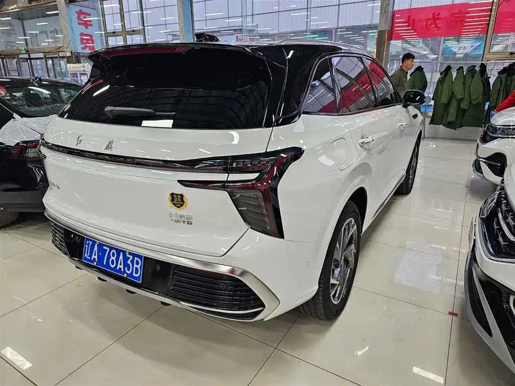 Hongqi Hongqi HS3 — фото 5