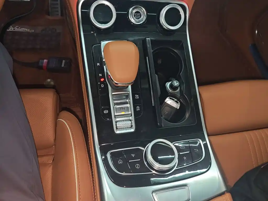 Hongqi Hongqi H9 — фото 14
