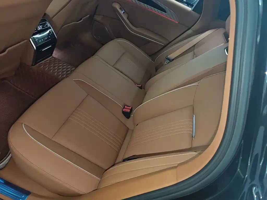 Hongqi Hongqi H9 — фото 17