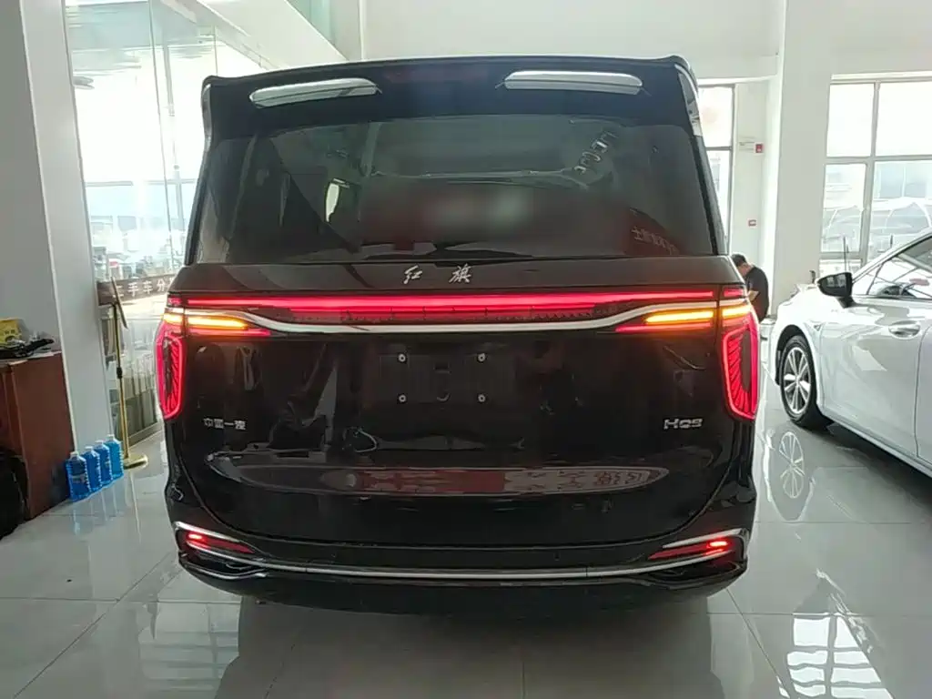 Hongqi Hongqi HQ9 — фото 6