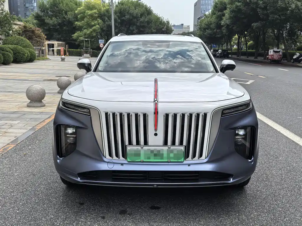 Hongqi Hongqi E-HS9 — фото 6