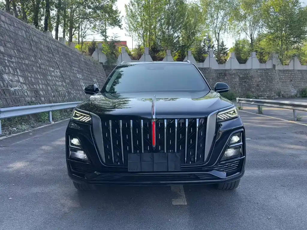 Hongqi Hongqi HS5 — фото 2