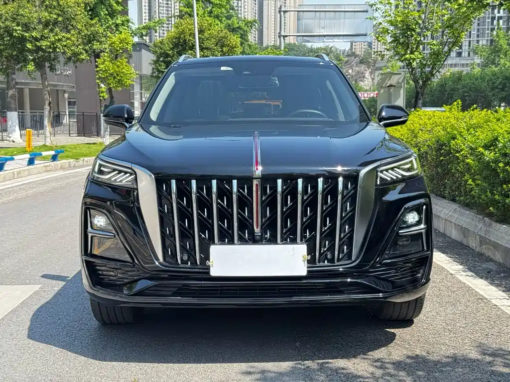 Hongqi Hongqi HS5 — фото 2