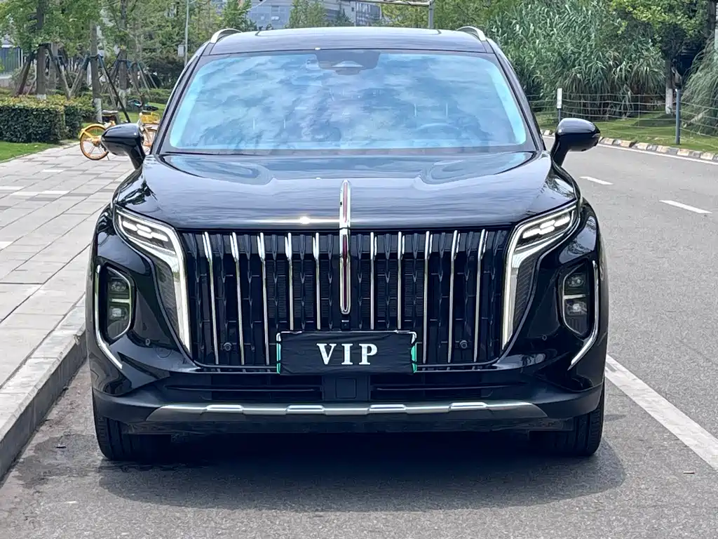 Hongqi Hongqi HS7 PHEV — фото 2