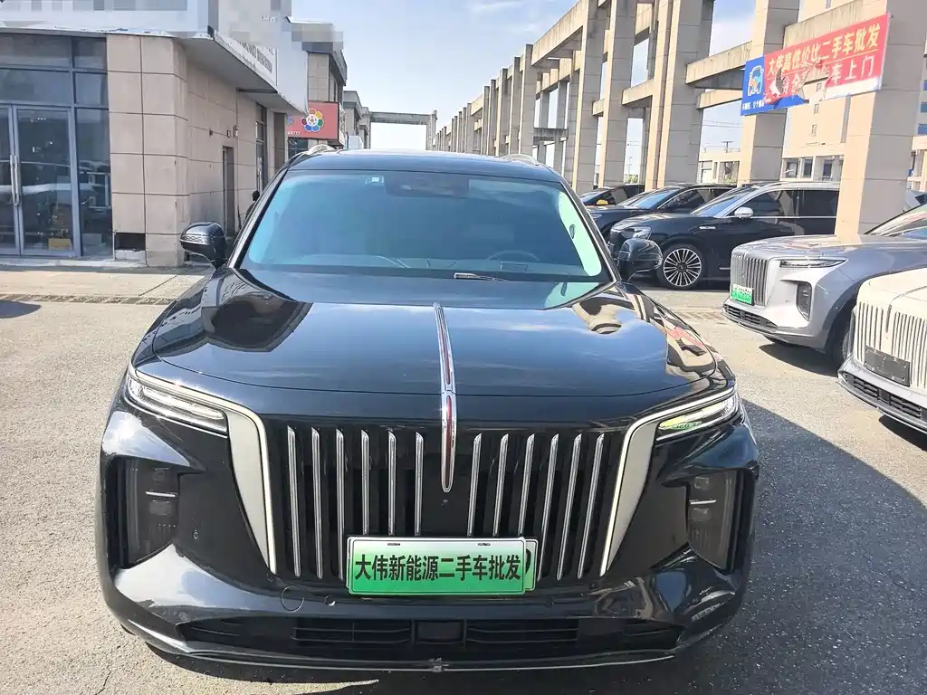 Hongqi Hongqi E-HS9 — фото 2