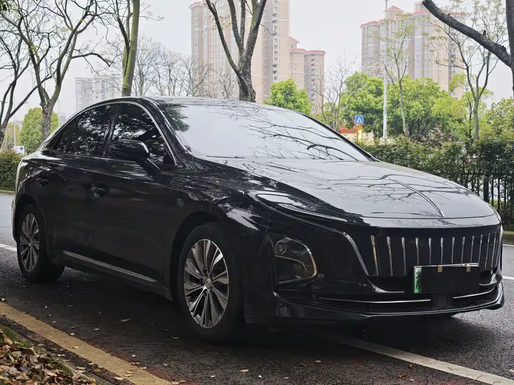 Hongqi Hongqi E-QM5 — фото 3