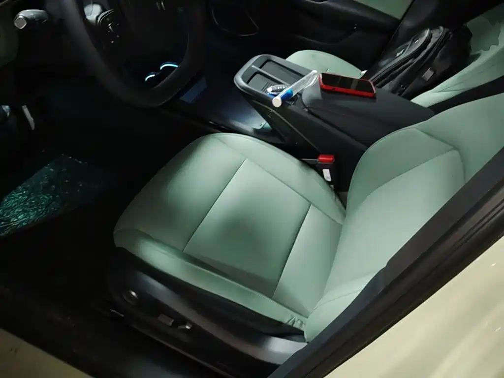 Hongqi Hongqi EH7 — фото 15