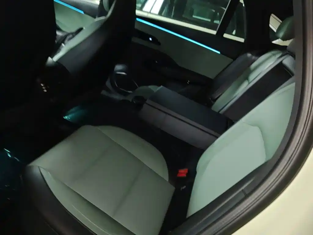 Hongqi Hongqi EH7 — фото 17