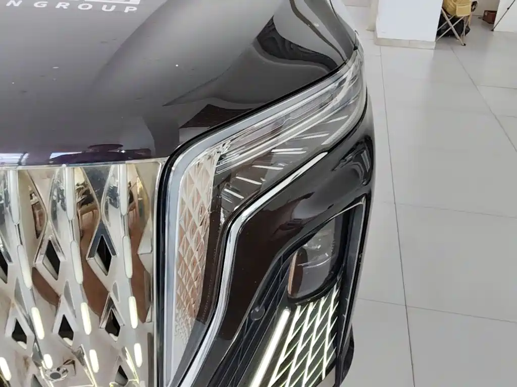 Hongqi Hongqi HQ9 PHEV — фото 24