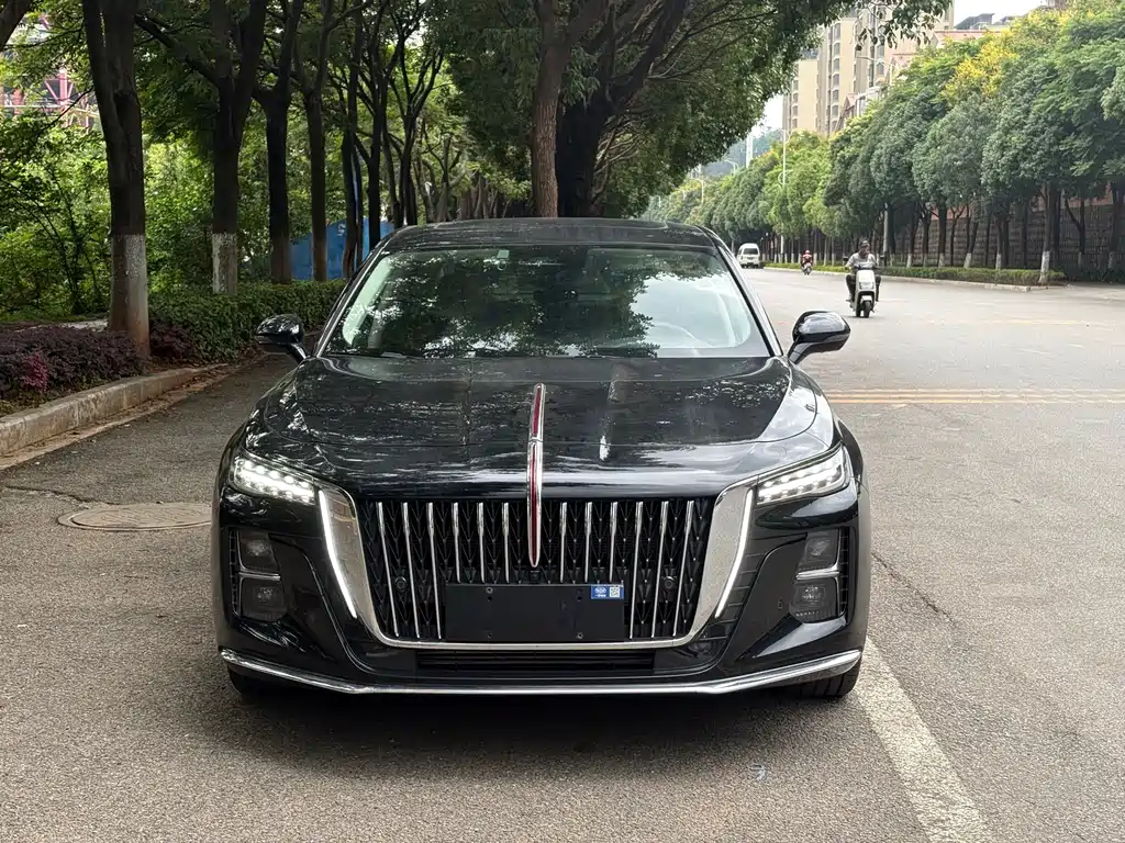 Hongqi Hongqi H5 — фото 2