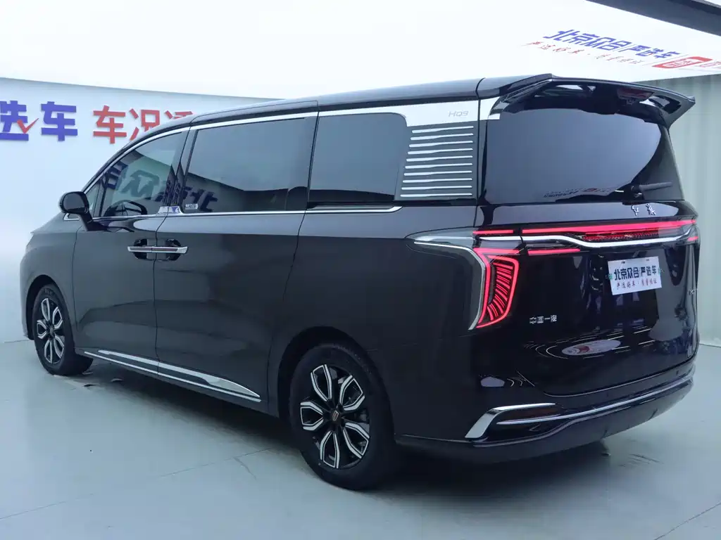 Hongqi Hongqi HQ9 — фото 29
