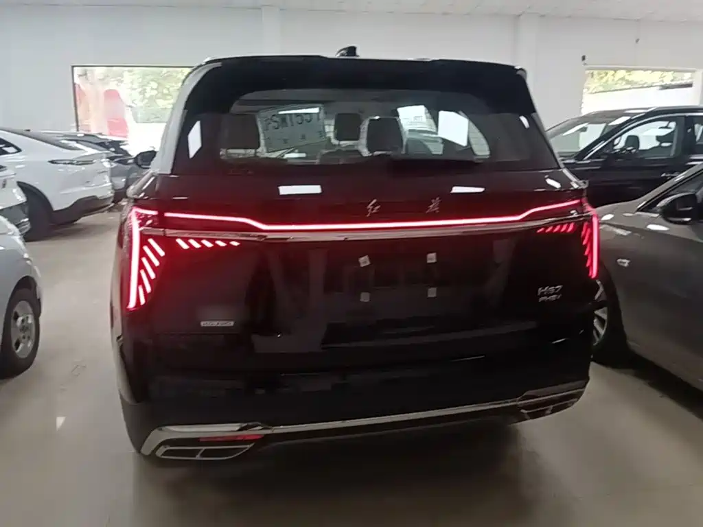 Hongqi Hongqi HS7 PHEV — фото 6