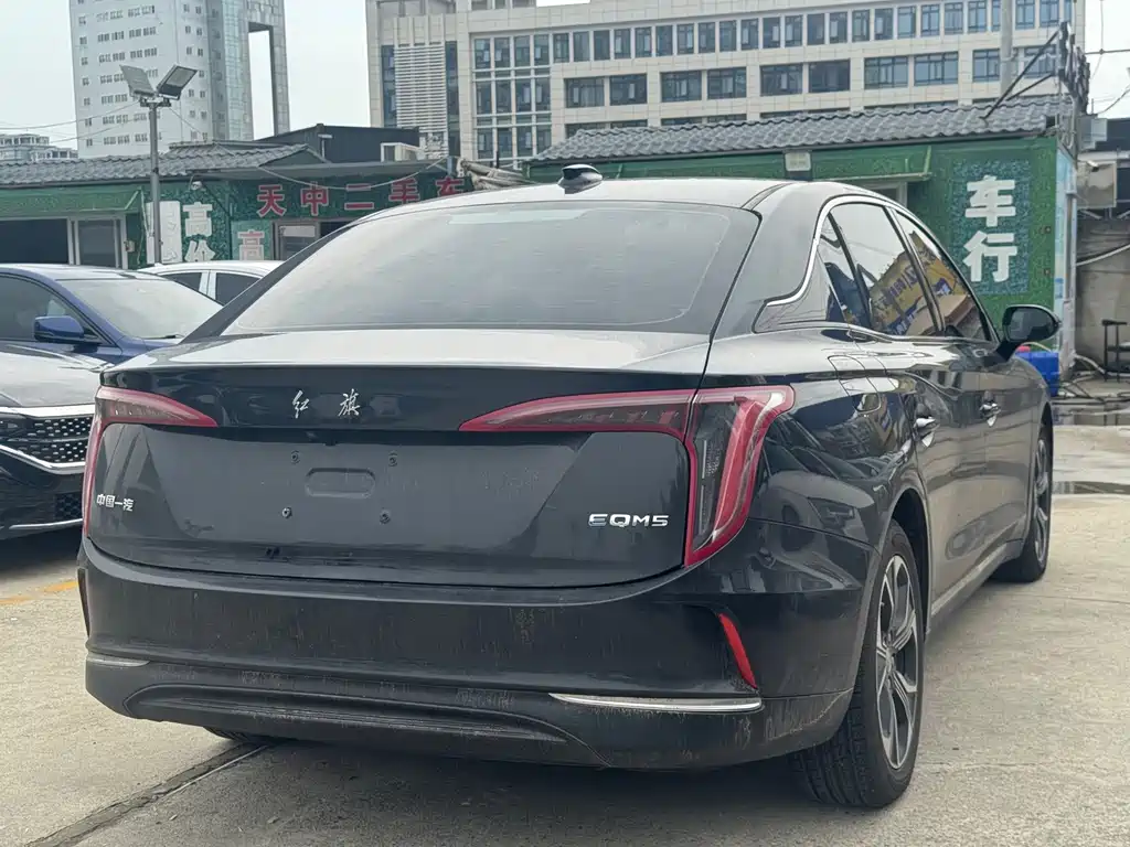 Hongqi Hongqi E-QM5 — фото 8