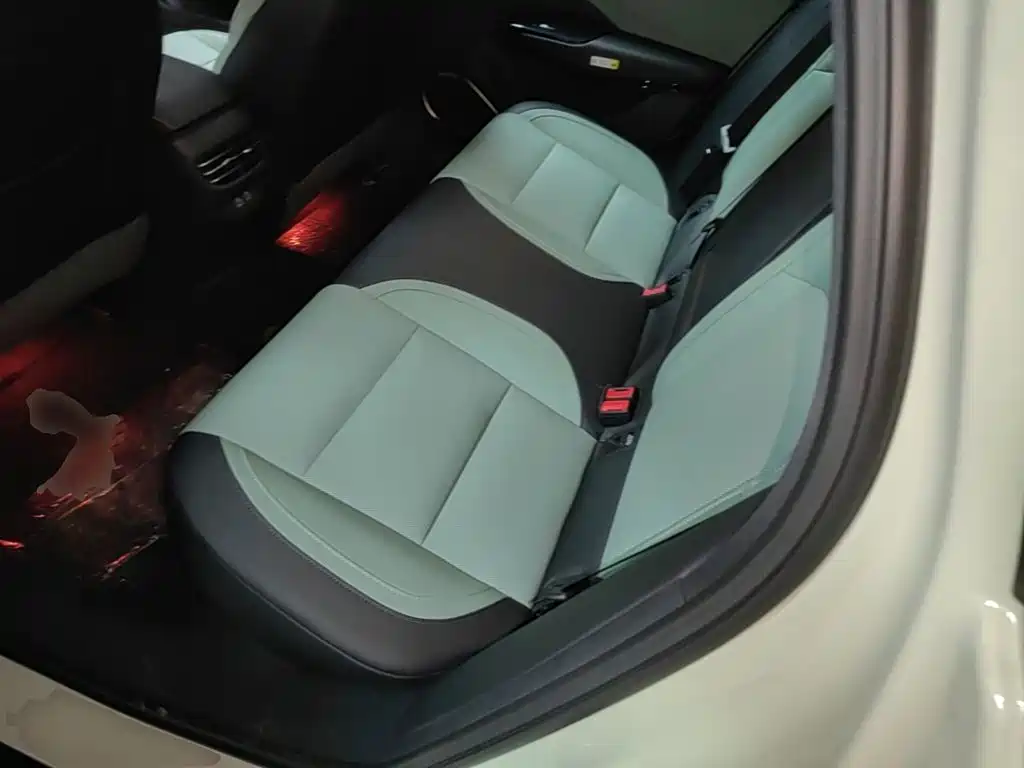 Hongqi Hongqi EH7 — фото 17