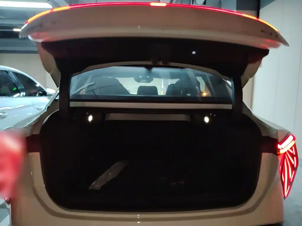 Hongqi Hongqi EH7 — фото 19