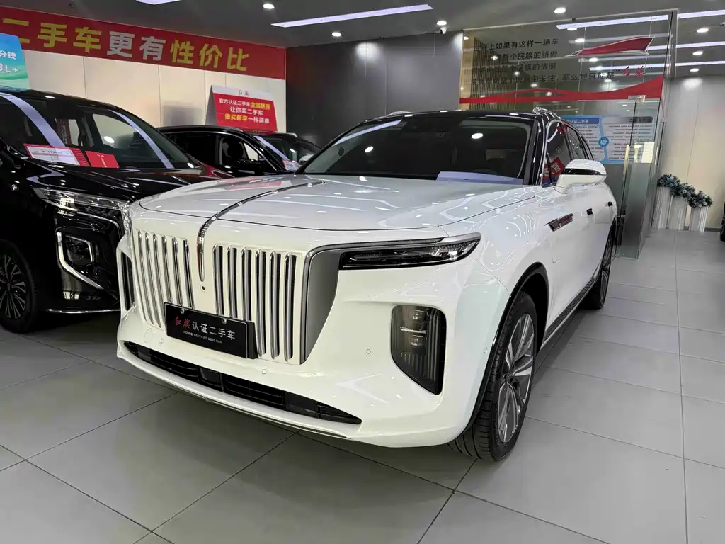 Hongqi Hongqi E-HS9