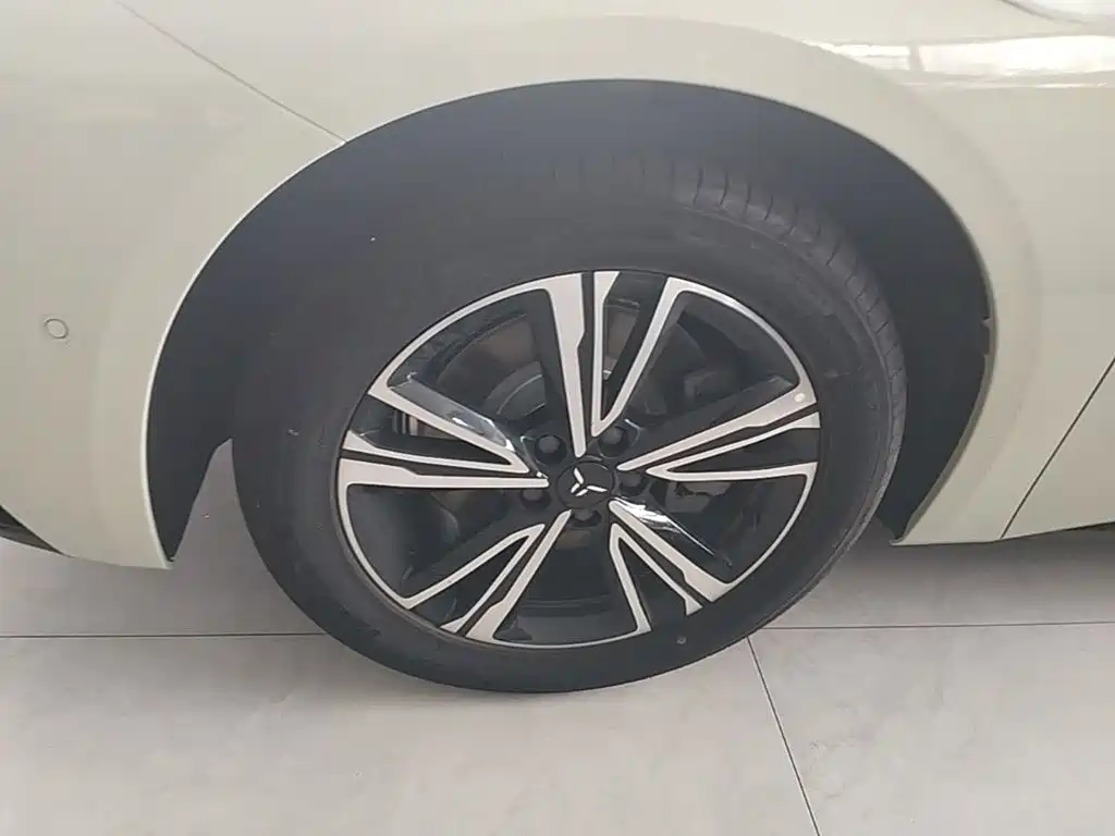 Hongqi Hongqi EH7 — фото 23