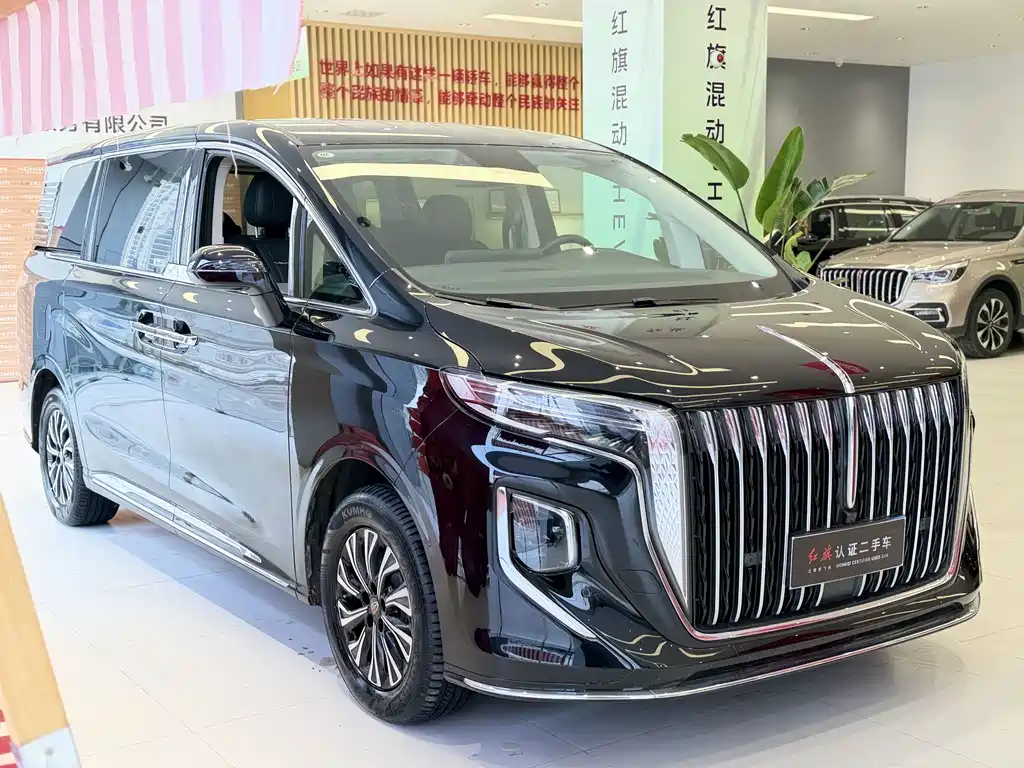 Hongqi Hongqi HQ9 PHEV — фото 8