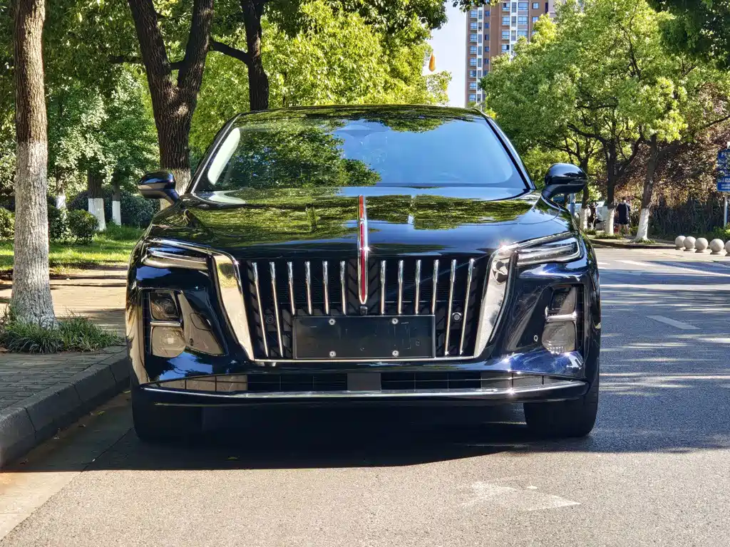 Hongqi Hongqi H5 PHEV — фото 3