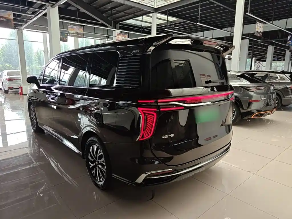 Hongqi Hongqi HQ9 PHEV — фото 5