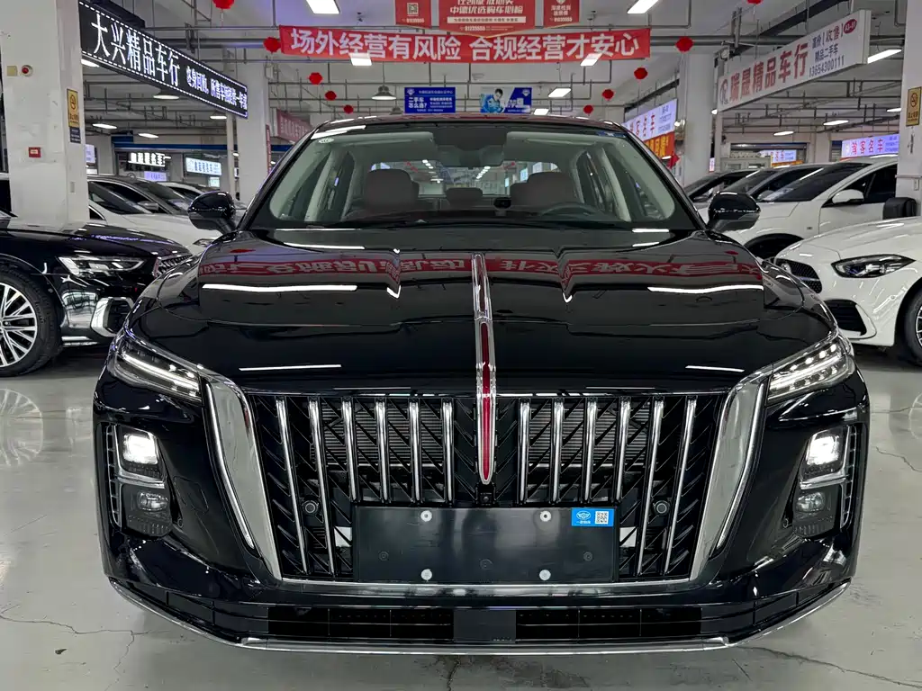 Hongqi Hongqi H5 PHEV — фото 2
