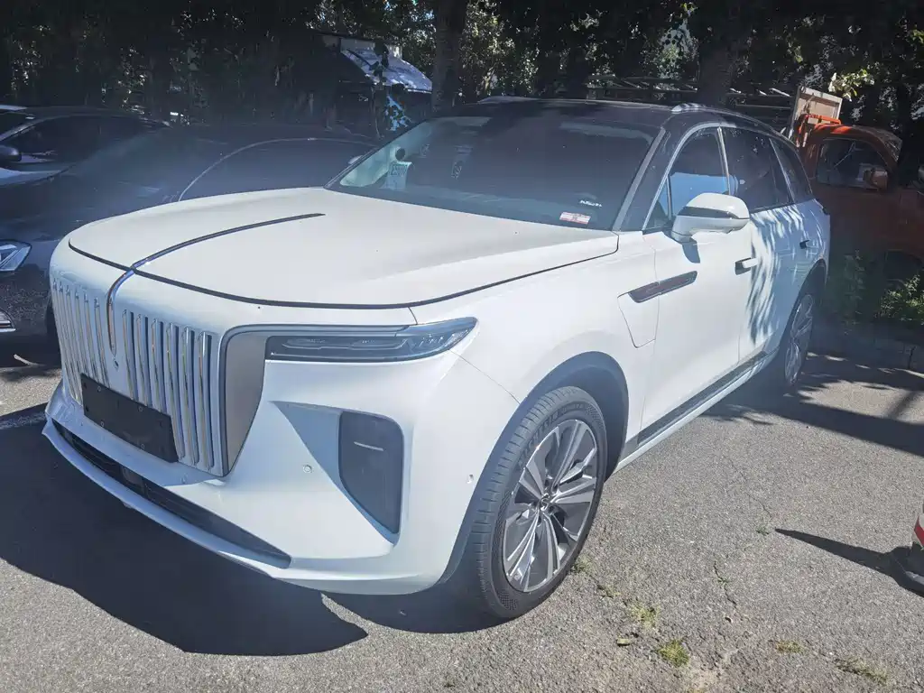 Hongqi Hongqi E-HS9