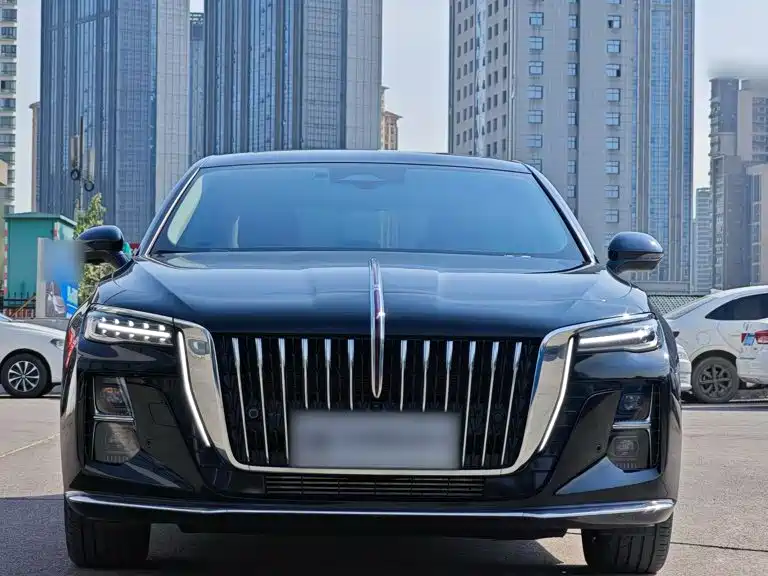 Hongqi Hongqi H5 — фото 19
