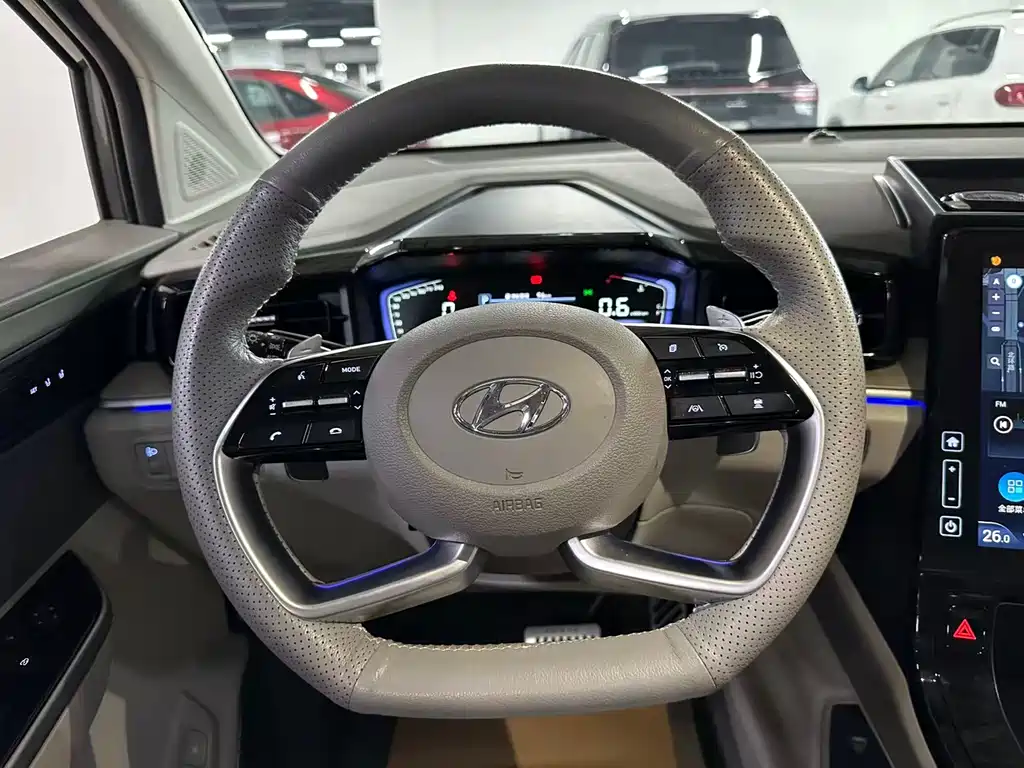 Hyundai Custo — фото 10