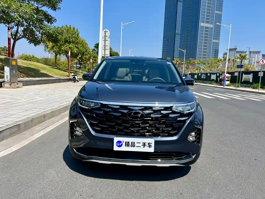 Hyundai Custo — фото 22